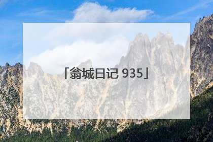 翁城日记 935