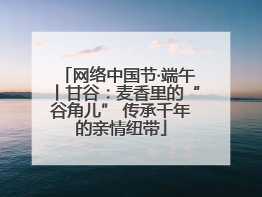 网络中国节·端午丨甘谷：麦香里的“谷角儿” 传承千年的亲情纽带