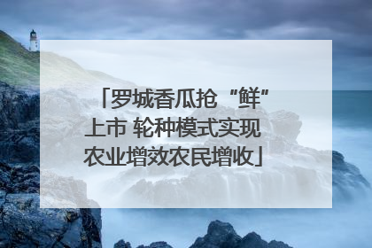 罗城香瓜抢“鲜”上市 轮种模式实现农业增效农民增收