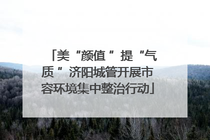 美“颜值 ”提“气质 ”济阳城管开展市容环境集中整治行动