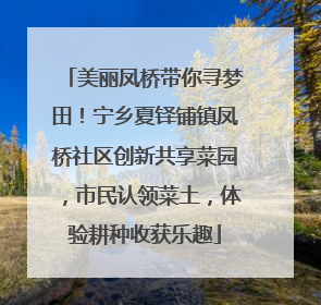 美丽凤桥带你寻梦田！宁乡夏铎铺镇凤桥社区创新共享菜园，市民认领菜土，体验耕种收获乐趣