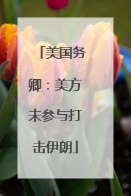 美国务卿：美方未参与打击伊朗