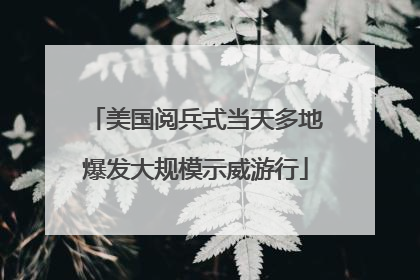 美国阅兵式当天多地爆发大规模示威游行