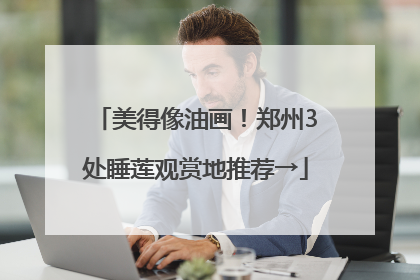 美得像油画！郑州3处睡莲观赏地推荐→