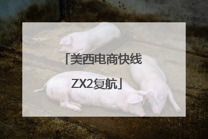 美西电商快线ZX2复航