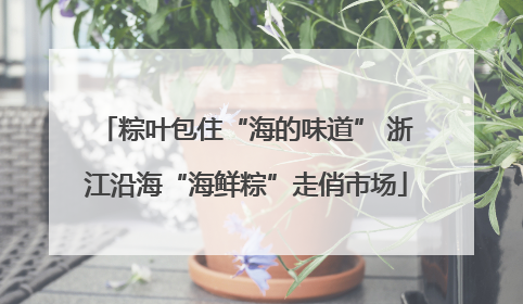 粽叶包住“海的味道” 浙江沿海“海鲜粽”走俏市场