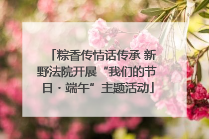 粽香传情话传承 新野法院开展“我们的节日・端午”主题活动