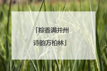 粽香满并州 诗韵万柏林