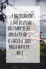纵览原创｜河北首家盒马鲜生在唐山开业，石家庄门店预计8月开业