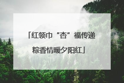 红领巾“杏”福传递 粽香情暖夕阳红