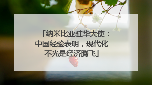纳米比亚驻华大使：中国经验表明，现代化不光是经济腾飞
