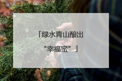 绿水青山酿出“幸福蜜”