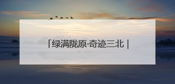 绿满陇原·奇迹三北｜梭梭林里种“黄金” 高台治沙致富很“从容”
