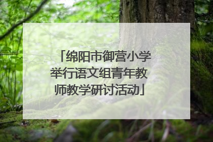 绵阳市御营小学举行语文组青年教师教学研讨活动