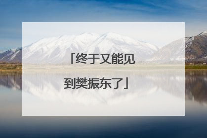 终于又能见到樊振东了