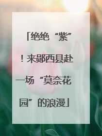 绝绝“紫”！来郧西县赴一场“莫奈花园”的浪漫