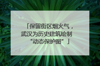 保留街区烟火气，武汉为历史建筑绘制“动态保护图”