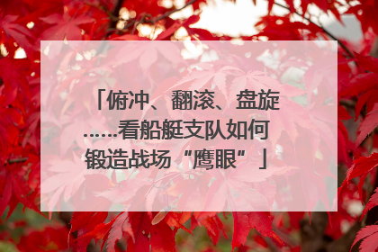 俯冲、翻滚、盘旋……看船艇支队如何锻造战场“鹰眼”