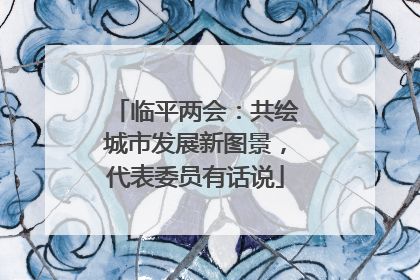 临平两会：共绘城市发展新图景，代表委员有话说