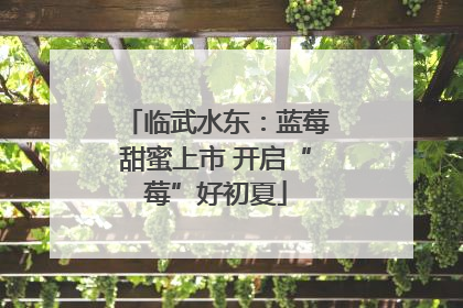 临武水东：蓝莓甜蜜上市 开启“莓”好初夏