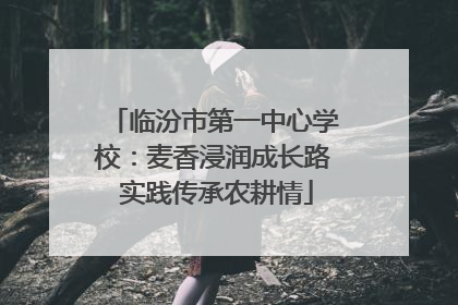 临汾市第一中心学校：麦香浸润成长路 实践传承农耕情