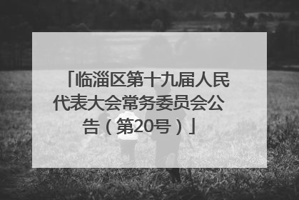 临淄区第十九届人民代表大会常务委员会公告（第20号）