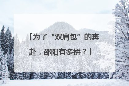 为了“双肩包”的奔赴，邵阳有多拼？