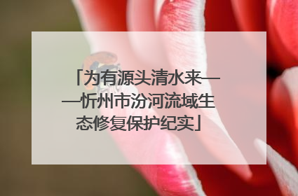 为有源头清水来——忻州市汾河流域生态修复保护纪实