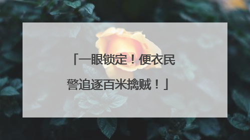 一眼锁定！便衣民警追逐百米擒贼！