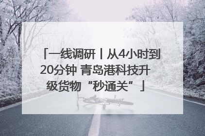 一线调研丨从4小时到20分钟 青岛港科技升级货物“秒通关”