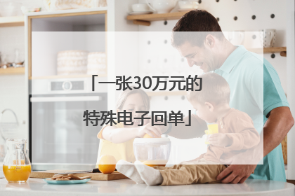 一张30万元的特殊电子回单