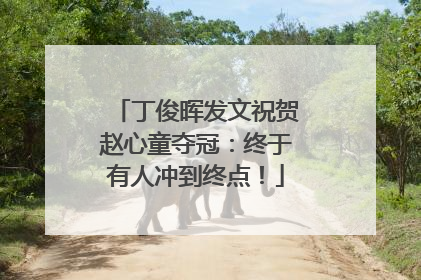 丁俊晖发文祝贺赵心童夺冠：终于有人冲到终点！