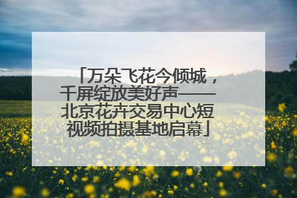 万朵飞花今倾城，千屏绽放美好声——北京花卉交易中心短视频拍摄基地启幕