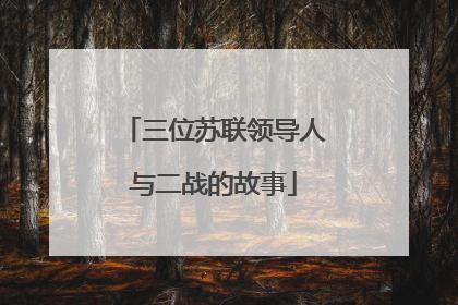 三位苏联领导人与二战的故事