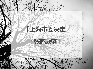 上海市委决定：张鸣履新