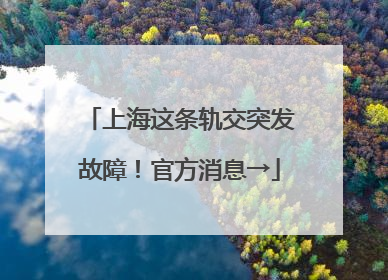 上海这条轨交突发故障！官方消息→