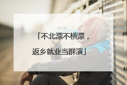 不北漂不横漂，返乡就业当群演