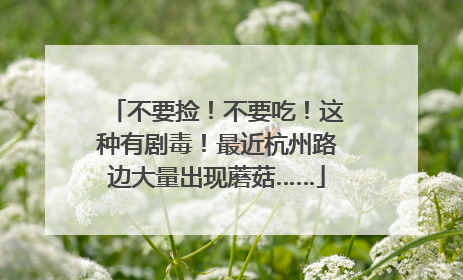 不要捡！不要吃！这种有剧毒！最近杭州路边大量出现蘑菇……