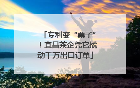 专利变“票子”!宜昌茶企凭它撬动千万出口订单