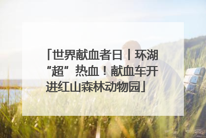 世界献血者日丨环湖“超”热血！献血车开进红山森林动物园