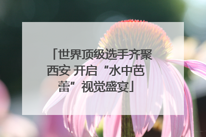 世界顶级选手齐聚西安 开启“水中芭蕾”视觉盛宴