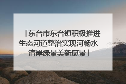 东台市东台镇积极推进生态河道整治实现河畅水清岸绿景美新愿景