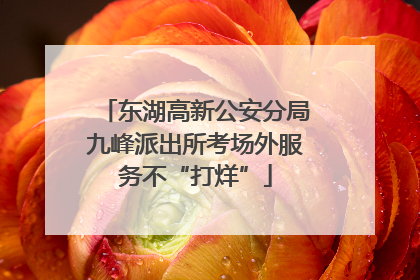 东湖高新公安分局九峰派出所考场外服务不“打烊”