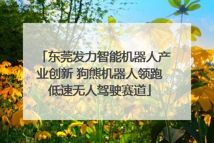 东莞发力智能机器人产业创新 狗熊机器人领跑低速无人驾驶赛道