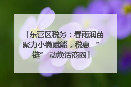 东营区税务：春雨润苗聚力小微赋能，税惠 “链” 动焕活商圈