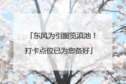 东风为引图览滇池！打卡点位已为您备好