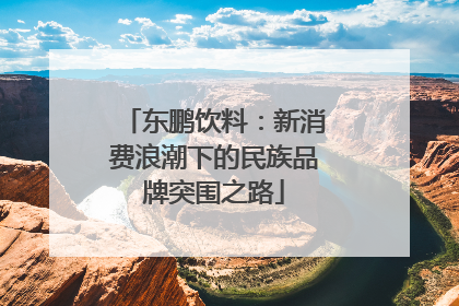 东鹏饮料：新消费浪潮下的民族品牌突围之路