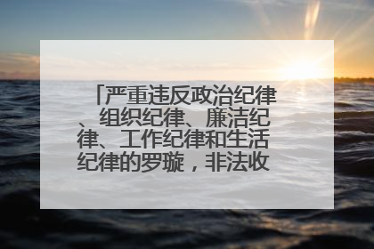 严重违反政治纪律、组织纪律、廉洁纪律、工作纪律和生活纪律的罗璇，非法收受他人巨额财物