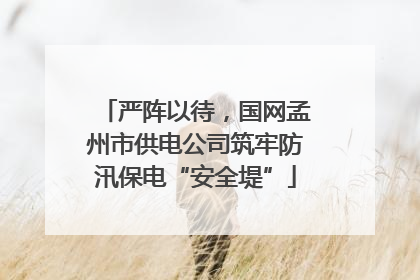 严阵以待，国网孟州市供电公司筑牢防汛保电“安全堤”
