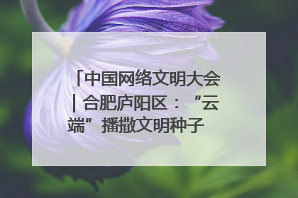 中国网络文明大会｜合肥庐阳区：“云端”播撒文明种子 共建清朗网络空间
